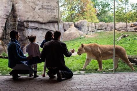 A #perfect #zoo with #wild #animals to view with your #family. Click at ...