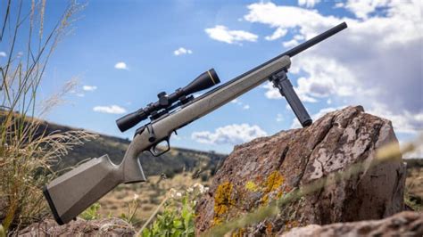 Springfield Armory’s New Model 2020 Rimfire Rifles – TravelBisH