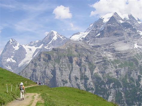 Swiss Alps | Places to visit, Swiss alps, Alps