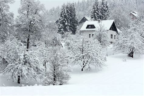 Interesting Facts About Winter | DK Find Out