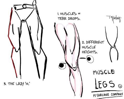 Pin by Titio Ideia on drawing and rhythm | Drawing legs, Human anatomy ...