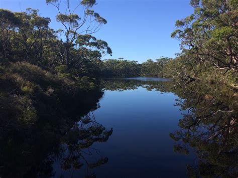 East-Gippsland Birds: Cape Conran Coastal Park