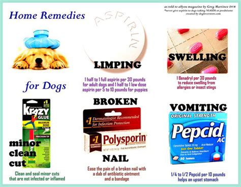 Over The Counter Pain Relief For Dogs – Traditional Medications for ...