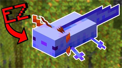 Get the Rare Blue Axolotl Easy! - Ultimate Axolotl Guide Minecraft 1.20 ...