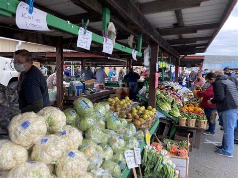 Hometown Farmers Market bounces back in 70th year – Times News Online