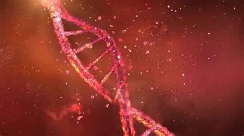 59,752 Dna Stock Video Footage - 4K and HD Video Clips | Shutterstock