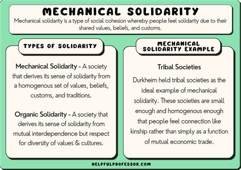 Mechanical Solidarity: 12 Examples and Definition (2024)