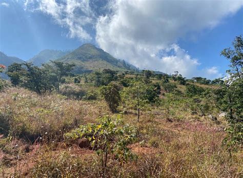 Zomba Plateau | Travel Diaries