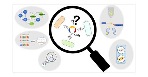 Determining Hosts of Antibiotic Resistance Genes: A Review of ...