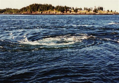 The Old Sow Whirlpool is located in Passamaquoddy Bay and can grow to ...