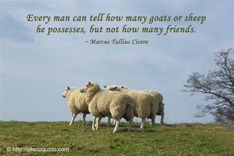 Quotes About Sheep. QuotesGram