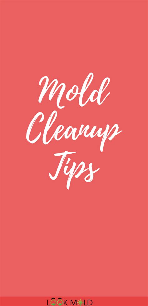 Mold Cleanup Tips | Mold remediation, Mold cleanup, Cleaning mold