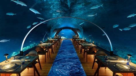 5.8 Undersea Restaurant – Maldives underwater restaurant