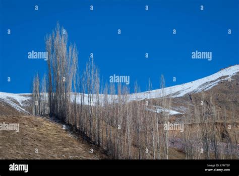 Alborz Mountains, Tehran, Iran Stock Photo - Alamy