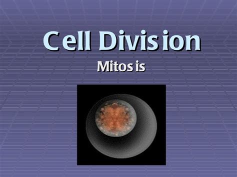 Mitosis powerpoint