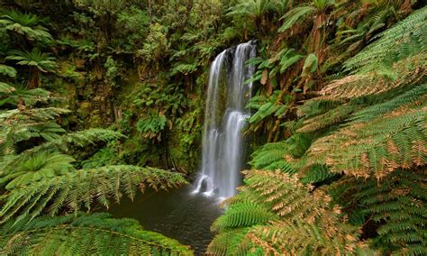 The Best Hidden Waterfalls In Victoria