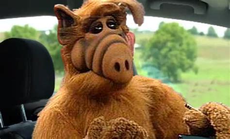 Did You Know The Show Alf Had a Ton of Tension Between Cast and Crew ...