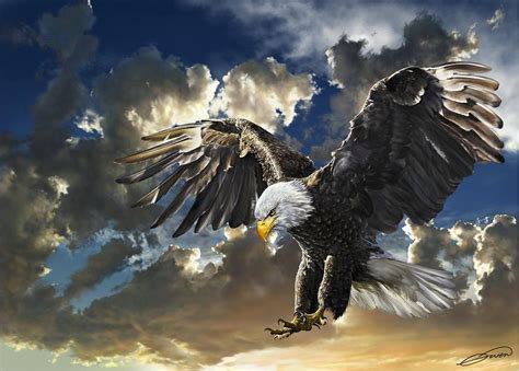 Bald Eagle Haliaeetus Leucocephalus Art - ID: 57143 - Art Abyss