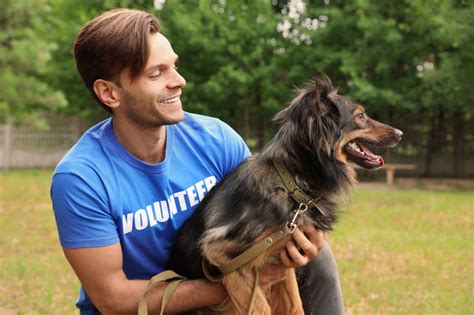 Male volunteer with homeless dog at animal shelter outdoors - Hill ...