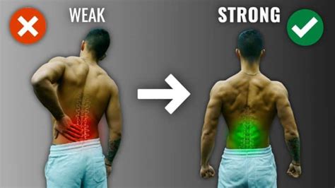 The Best Lower Back Exercises To Relieve Lower Back Pain (10 Studies)