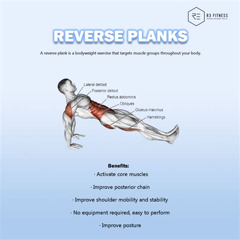 4 Benefits of Reverse Plank - R3 Fitness