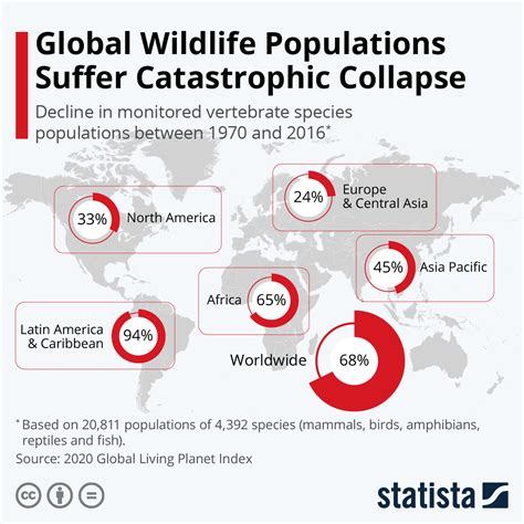 Animal Population Charts