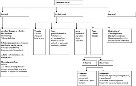 Acute renal failure - The Lancet