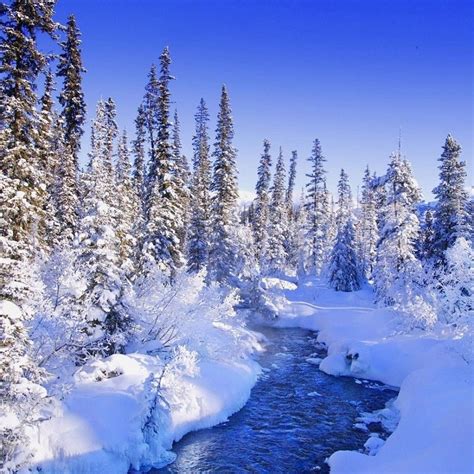 10 New Winter Wonderland Screensavers Free FULL HD 1080p For PC Desktop ...