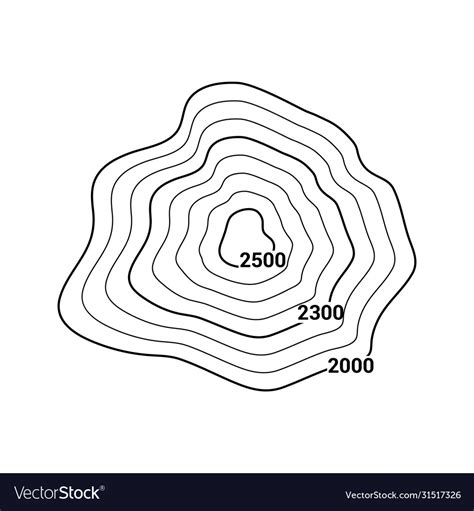 Topographic map contour mountain geographic Vector Image