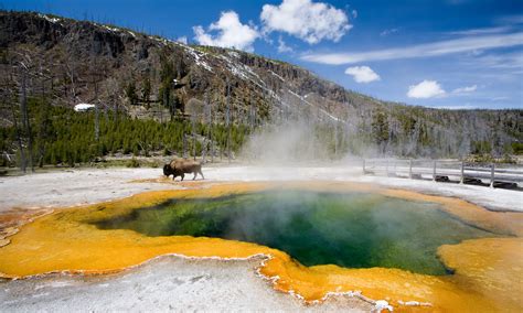 17 Inspiring RV Camping Spots Near Yellowstone | Perfect Campers