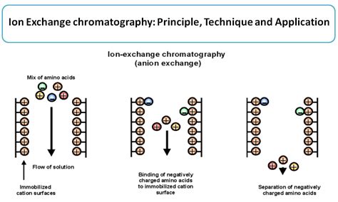 application of ion exchange principle - Microbiology Notes