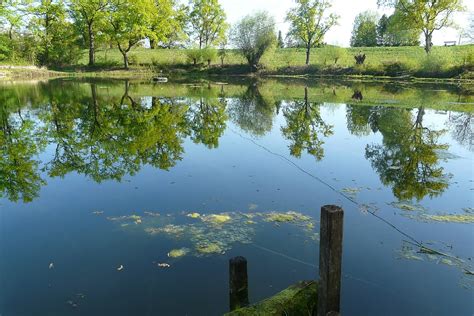 Free photo: Pond, Water Reflection, Idyllic - Free Image on Pixabay ...