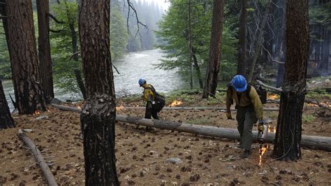 For Successful Wildfire Prevention, Look To The Southeast : Short Wave ...