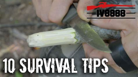 Top 10 Survival Tips