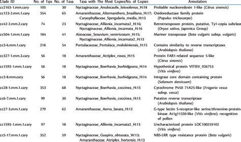 Caryophyllales Clades with the Highest Number of Tips for Any Single ...