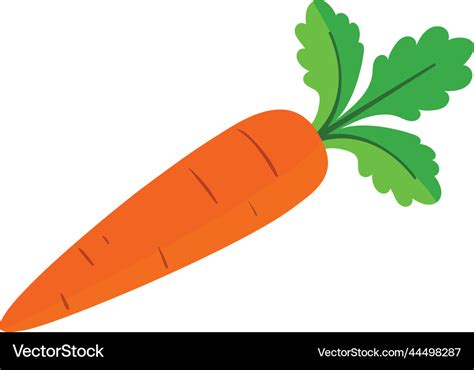 Clipart carrot Royalty Free Vector Image - VectorStock