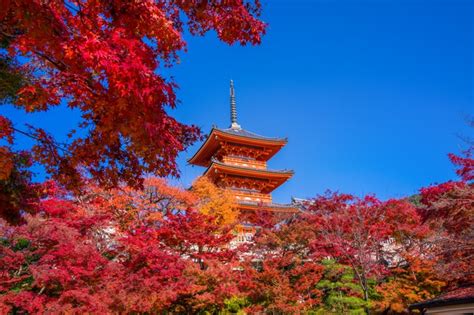 Ten Gorgeous Pictures of Japanese Autumn Foliage in Japan | tsunagu Japan