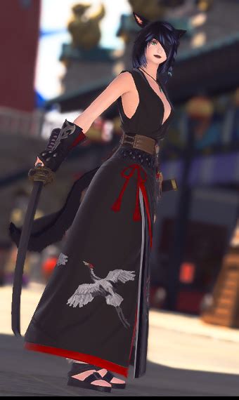 Ronin | Eorzea Collection