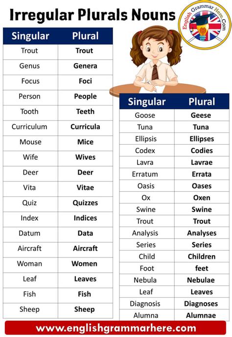 Irregular Plurals, Definitions, List and Example Sentences - English ...