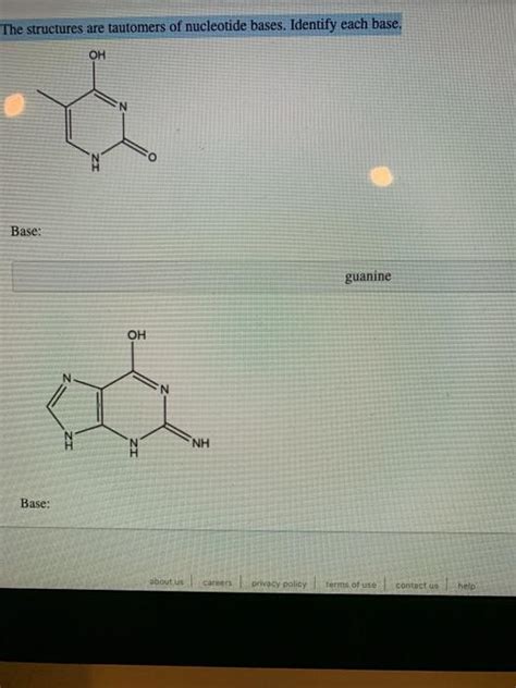 Solved The structures are tautomers of nucleotide bases. | Chegg.com