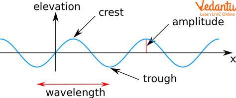 The Amplitude of a Wave : Learn Definition and Characteristics