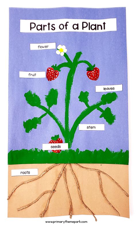 Parts of a Plant Craft | Plant activities, Parts of a plant, Plant crafts