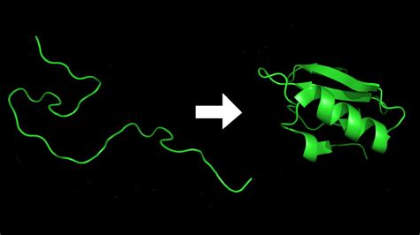 Folding A Protein From Your Easy Chair : 13.7: Cosmos And Culture : NPR