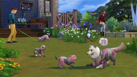 The sims 4 cats and dogs challenges - buckssany