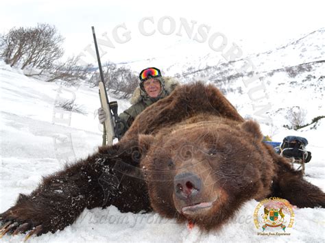 Brown Bear | Hunting Consortium