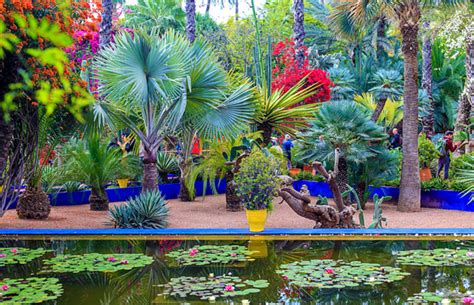 Majorelle Garden: An Oasis in the Red City