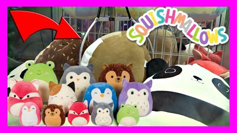 squishmallow claw machine online - Giuseppina Wilbanks