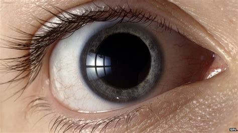 Drug lets blind eyes 'see light' - BBC News