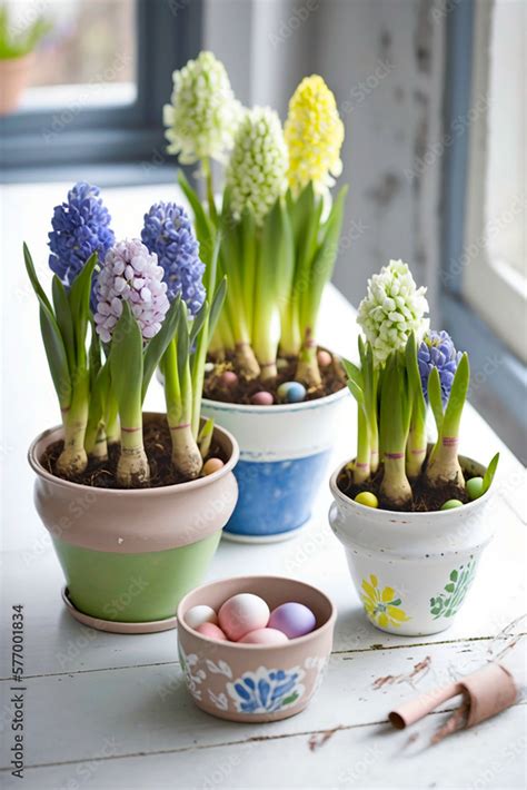 Hyacinths in pots standing on a table. AI generativ. Stock Illustration ...