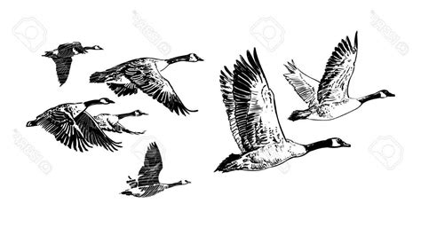 Flying Goose Vector at Vectorified.com | Collection of Flying Goose ...